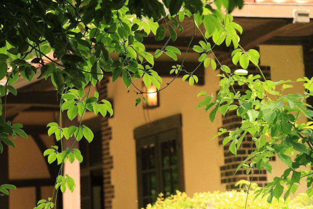 🏛️ 시부사와 사료관 (渋沢史料館) 이미지 6